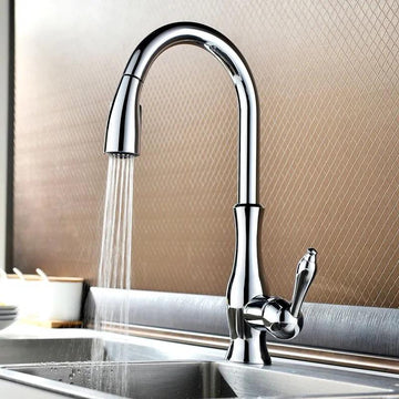 Tracier Gooseneck Single Handle Kitchen Faucet with Pull Out Spray